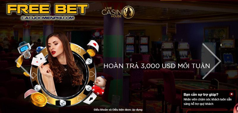 Tìm hiểu thêm về 88Go và thông tin liên hệ - 88Go