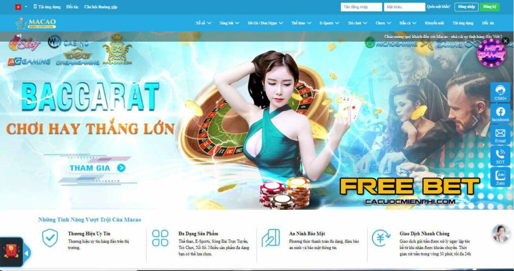 Thông tin chi tiết về các yêu cầu để được thăng cấp lên cấp độ Gobet - Gobet