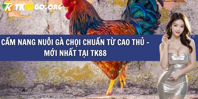 Đăng ký tài khoản cá cược với một công ty cá cược uy tín được xếp hạng W88 - W88