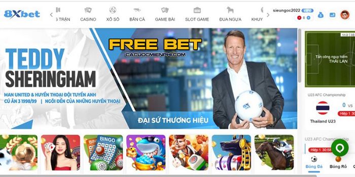 Tải ứng dụng Letou về điện thoại Android và iOS của bạn - Letou