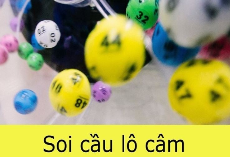 Các giải thưởng cấp Vaobo88 không yêu cầu các cơ quan trung gian - Vaobo88