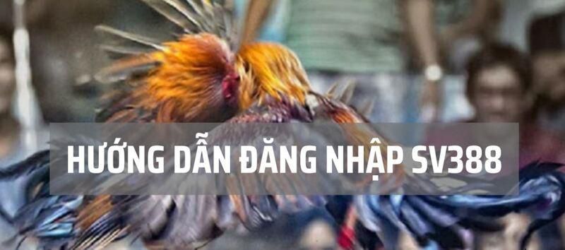 Xvip Live – Hệ thống thanh toán chuyên nghiệp - Xvip