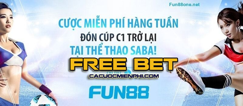 Ok33 có những lĩnh vực chuyên môn nào? - Ok33