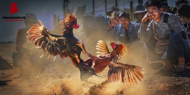 Sự thật đằng sau vụ lừa đảo H3bet là gì? - H3bet