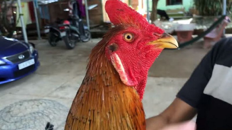 Ứng dụng 79King hỗ trợ liên kết và lưu trữ tài khoản ngân hàng - 79King