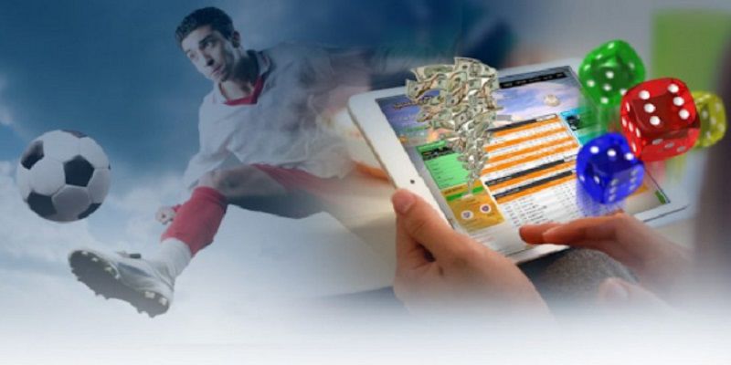 Hé lộ con đường thực sự giúp người chơi cá cược đạt được xếp hạng 7M - 7M