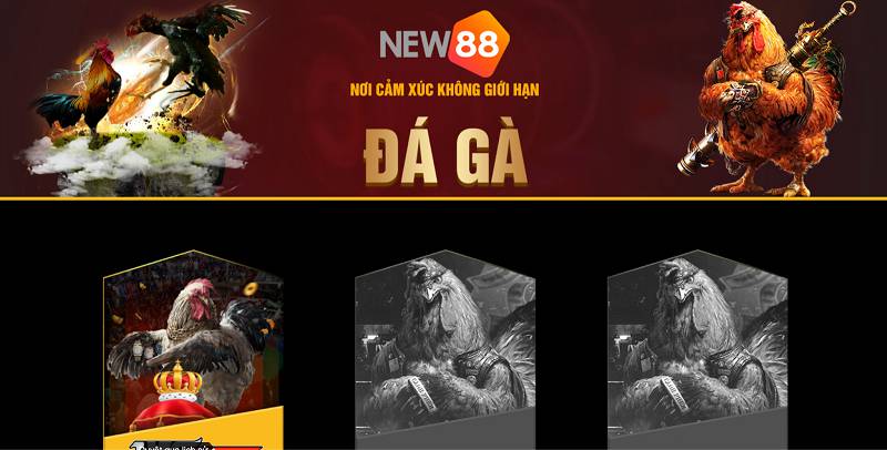 Hướng dẫn trò chơi máy đánh bạc Kg88 - Kg88